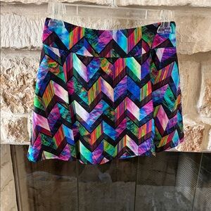 Multicolor Chevron Women's Skirt